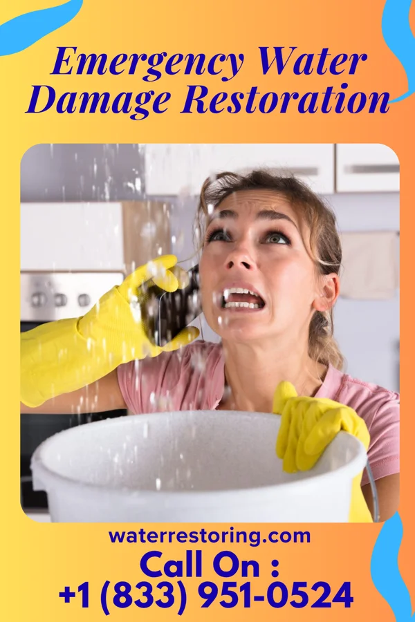 Emergency Water Damage Restoration in Raiford, FL